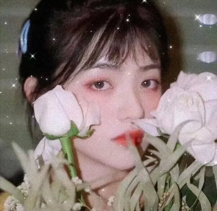 鉴罪女法医之魇始