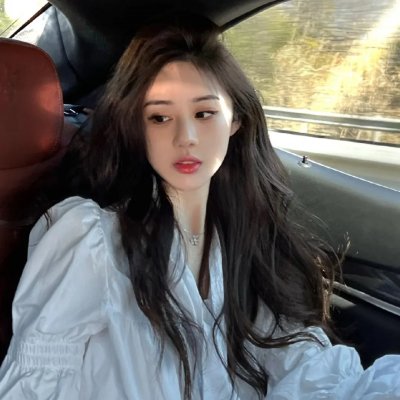 泰迪熊2
